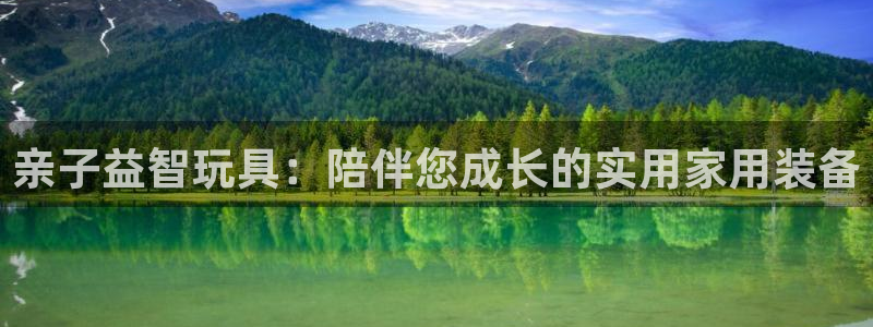 熊猫体育娱乐40996:亲子益智玩具:陪伴您成长的实用家用装